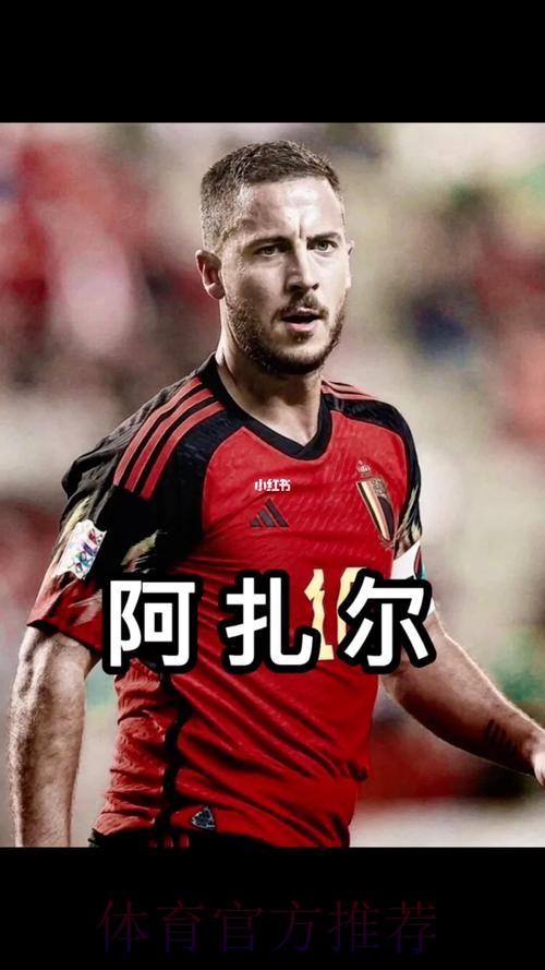 阿扎尔：皇马花了很多钱买我 我希望回报他们